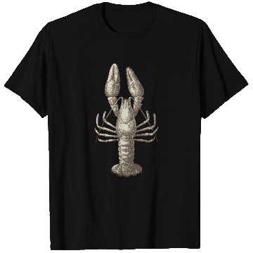 Discover lobster T Shirts