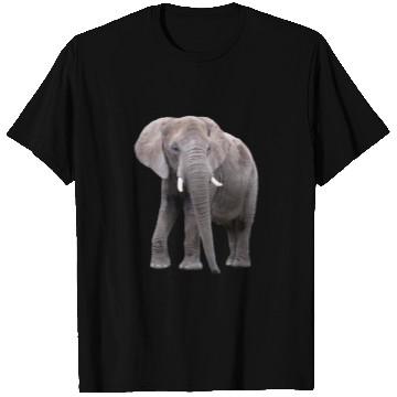 Discover Elephant T Shirts