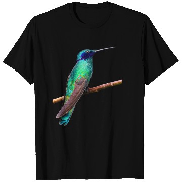 Discover Hummingbird T Shirts