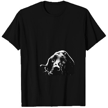 Discover Black Labrador Retriever T Shirts