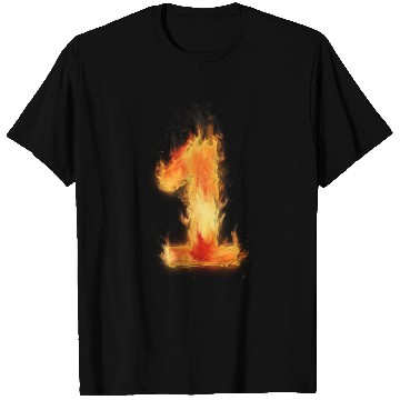 Discover fire flame number 1 two T Shirts