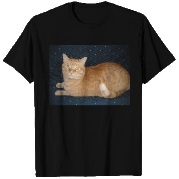 Discover Relaxed Orange Tabby Cat Illustration T Shirts