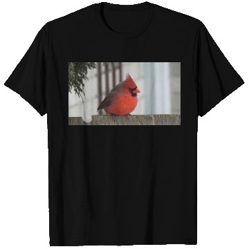 Discover Brilliant Cardinal Bird 2 T Shirts