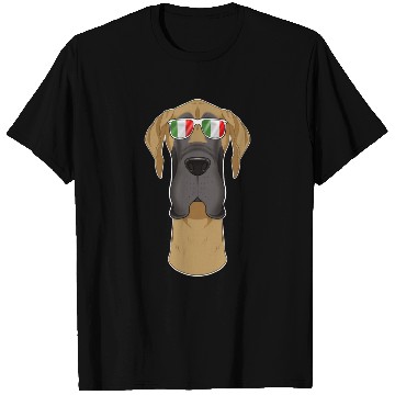 Discover Great Dane Italy Sunglasses I Italian Flag T Shirts