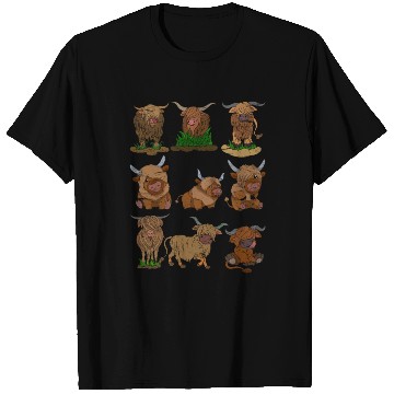 Discover Scottish Highland Cattle T Shirts
