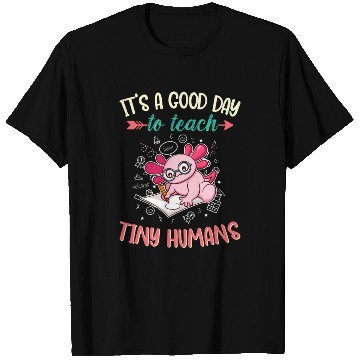 Discover Good Day To Teach Tiny Humans Elementary Teacher T Shirts
