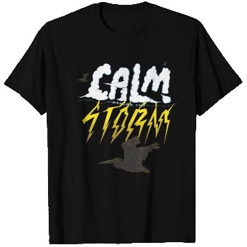 Discover Calm Before the Storm Stickers T Shirts