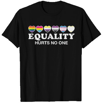 Discover LBGT Flag Gay Pride Human T Shirts