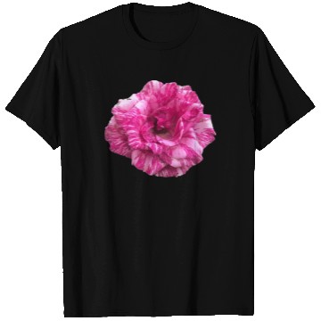 Discover flower Classic T Shirts
