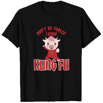 Discover Dont Be Fooled I Know Kung Fu T Shirts