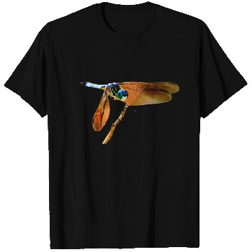 Discover Colorful dragonfly on a branch T Shirts