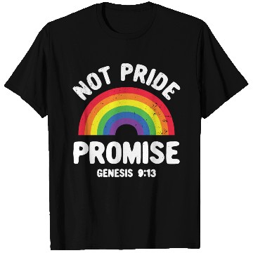 Discover Not Pride Promise Lgbt Christian Men Women Pride T Shirts