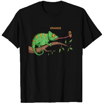 Discover Bitcoin Chameleon BTC logo Crypto lover Hodl T Shirts