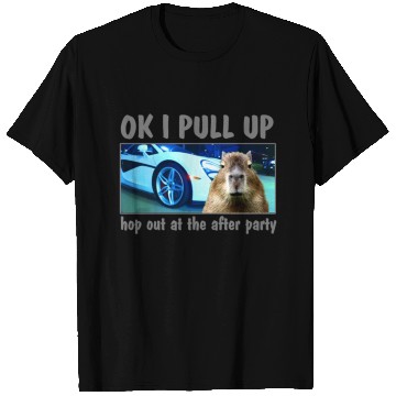 Discover Ok I Pull Up Capybara Meme After Party Rap Song ar T Shirts