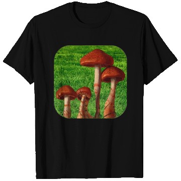 Discover Natural mushroom T Shirts