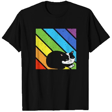 Discover LGBT Supporter Pride Ally Cat Lover Rainbow Pride T Shirts
