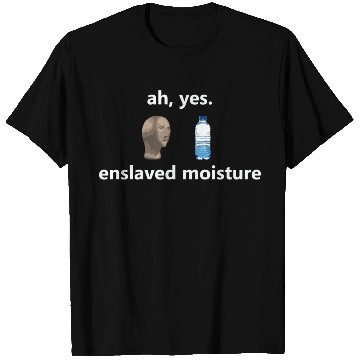 Discover Funny Ah Yes Enslaved Moisture Internet Meme Dank T Shirts
