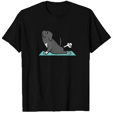 Discover Great Dane Yoga Pose T Shirts
