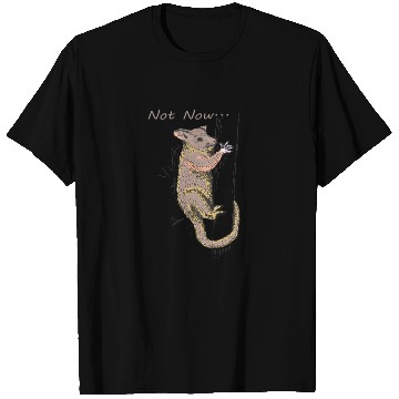 Discover Funny Opossum, Opossum Not Now T Shirts
