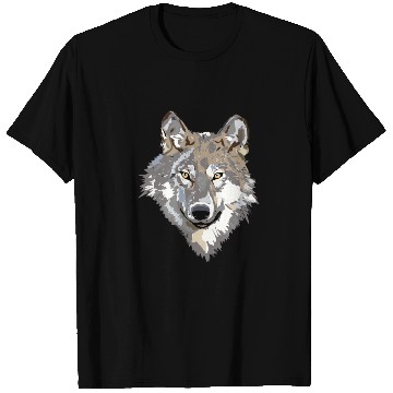 Discover colored Fox T Shirts