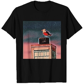 Discover Seagull T Shirts