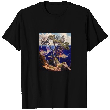Discover Mountain Hiking Camping Trip National Park Visit T Shirts