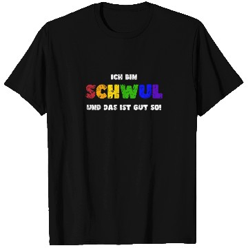 Discover Pride LGBTQ. I´m gay! T Shirts