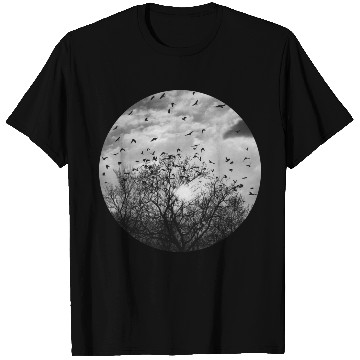 Discover Bird's dance in the sunlight T Shirts