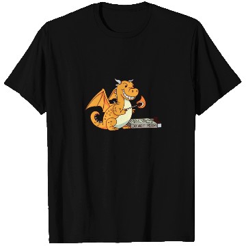 Discover Funny Dragon Playing With Matches Irony T Shirts
