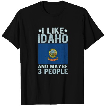 Discover Idaho Flag US State T Shirts