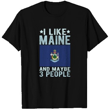 Discover Maine Flag US State T Shirts