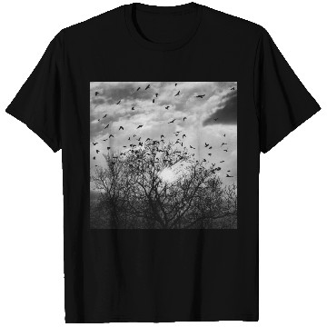 Discover Bird's flight at sunset T Shirts