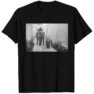 Discover Elephant Mom and Baby In Jungle Safari T Shirts