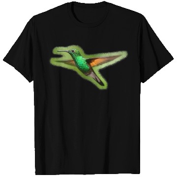 Discover Green Hummingbird Illustration Bird Lover T Shirts