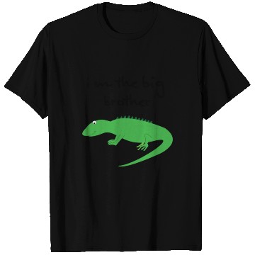 Discover big brother T Shirts