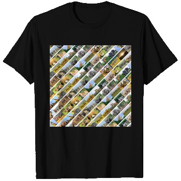 Discover Wildlife Stripe white Collage T Shirts