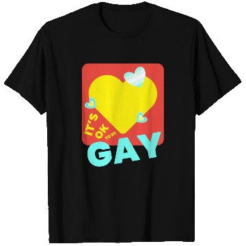 Discover It's OK to Be Gay Equality Gay Pride Rainbow Gay T Shirts