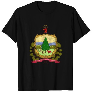 Discover Vermont Flag State Vintage T Shirts