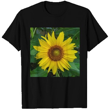 Discover My sunflower T Shirts