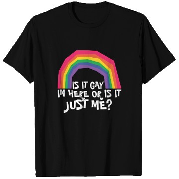 Discover LGBTQ Proud Ally Trans Gay Pride Is It Gay Here T Shirts