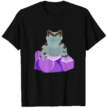 Discover Frog Crystal Amethyst Gemstone For Toad Owners T Shirts