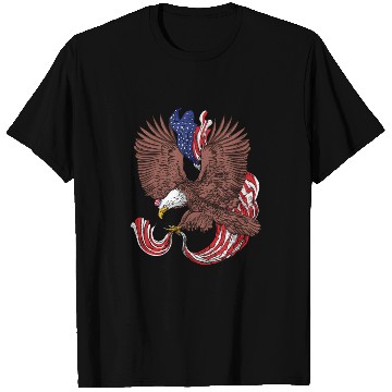 Discover America Eagle USA Patriots American Pride T Shirts