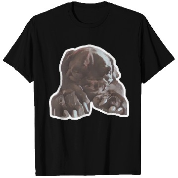 Discover Cane corso in its natural sleeping environment T Shirts