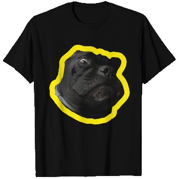 Discover Crazy Cane Corso T Shirts