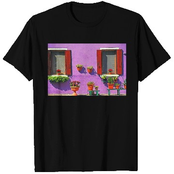 Discover Windows of Venice Italy 1904 T Shirts