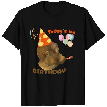 Discover today is my birtday funny monkey T Shirts