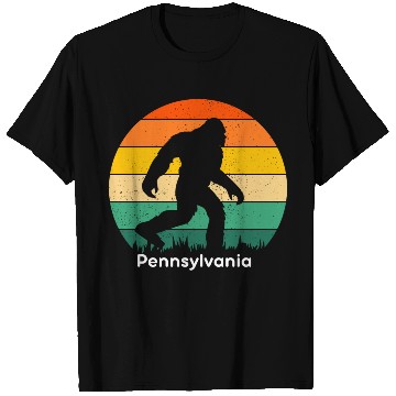 Discover Pennsylvania T Shirts