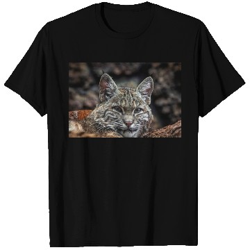 Discover Baby Bobcat, Cat, Stickers, T Shirts