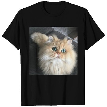 Discover Cat lover T Shirts