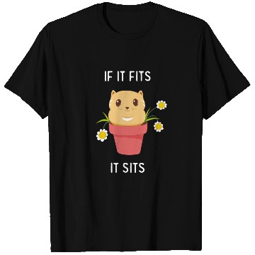 Discover If It Fits It Sits Funny Cat Lover Cute T Shirts